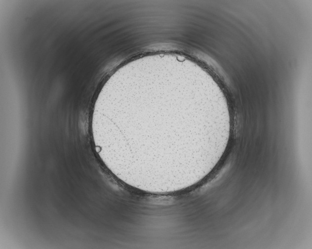 X0000111420833200908241130