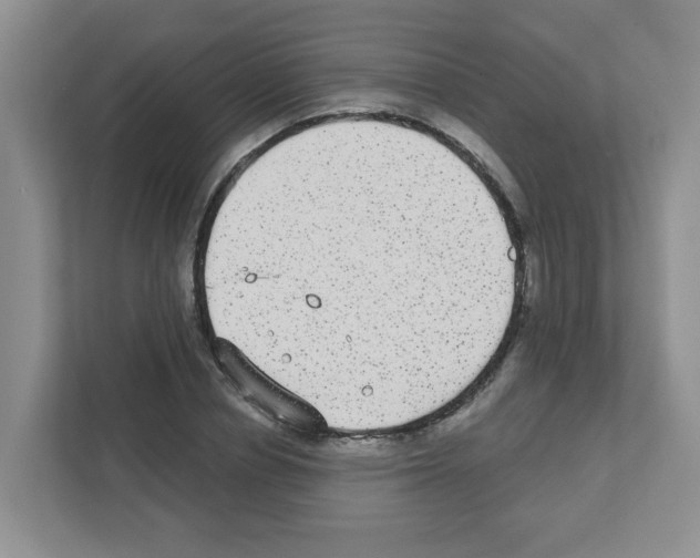 X0000111420834200908241130