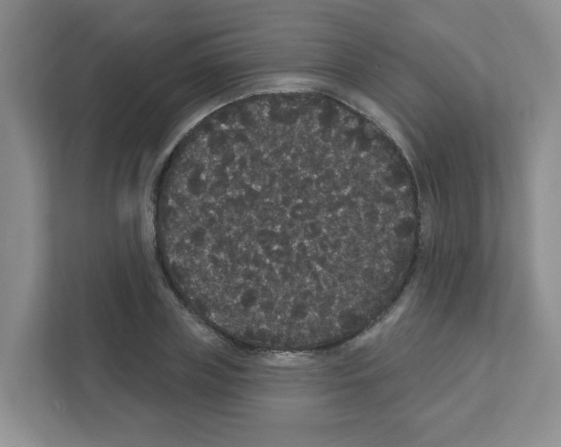X0000111420835200908241130