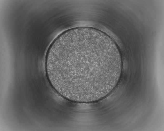 X0000111420836200908241130