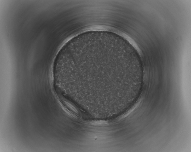 X0000111420837200908241130