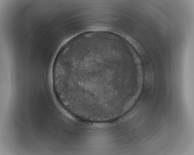 X0000111420840200908241130