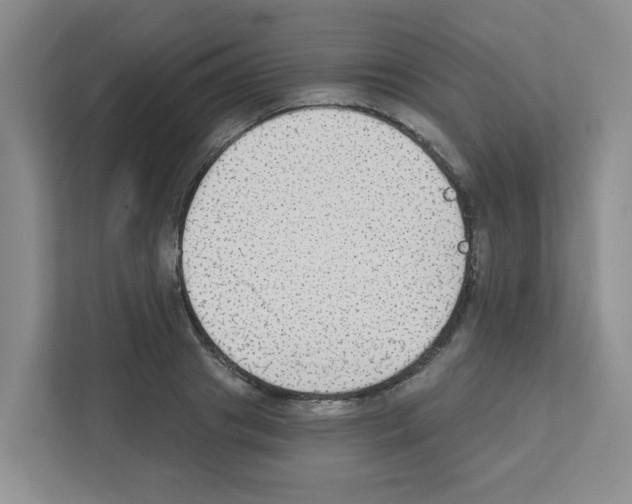 X0000111420841200908241130