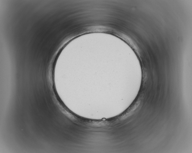 X0000111420843200908241130