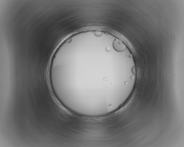 X0000111420844200908241130