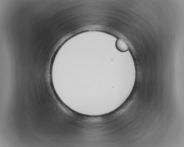 X0000111420845200908241130