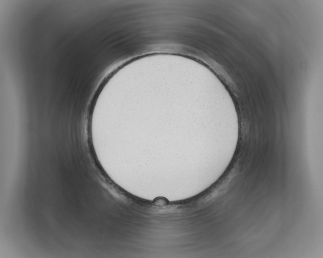 X0000111420846200908241130