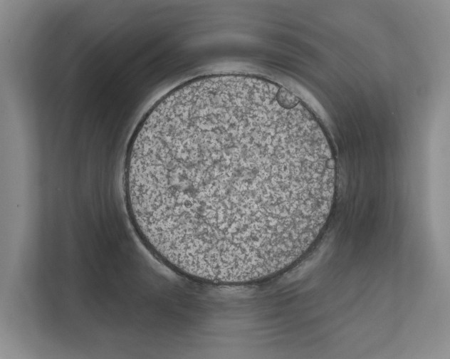 X0000111420847200908241130