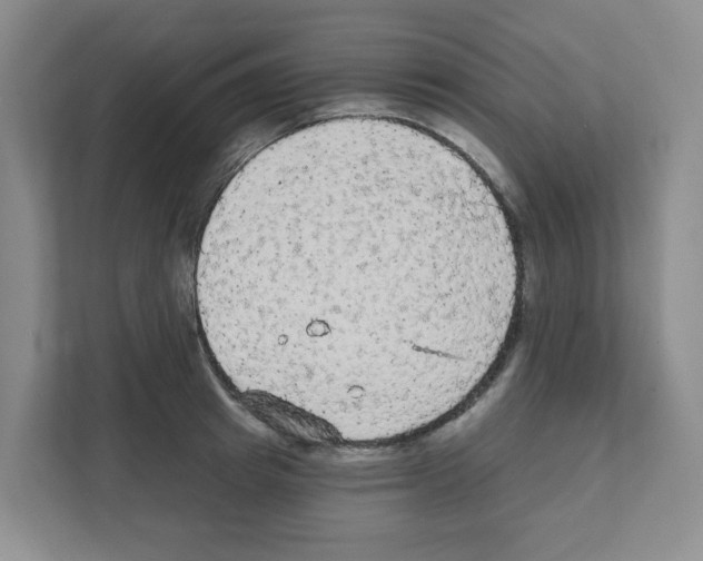 X0000111420849200908241130