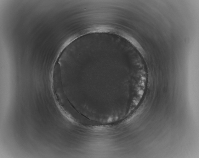 X0000111420850200908241130