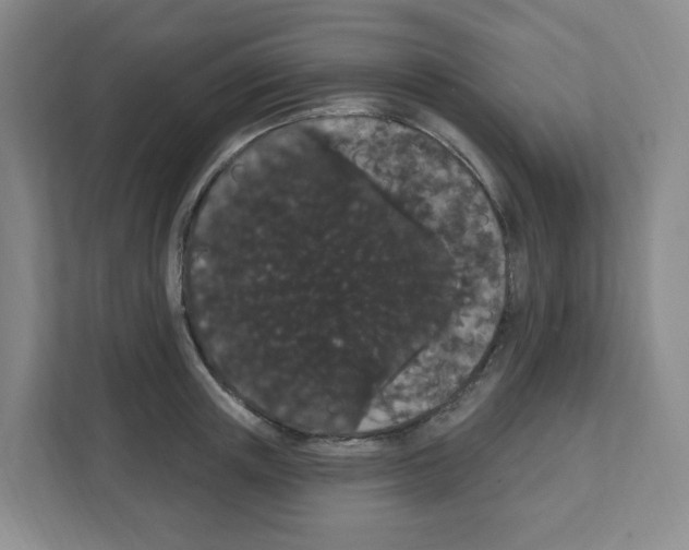 X0000111420851200908241130