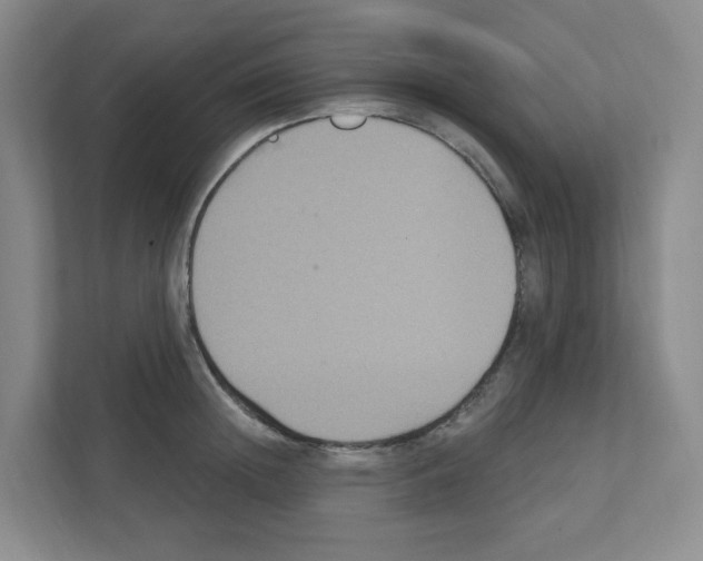 X0000111420852200908241130