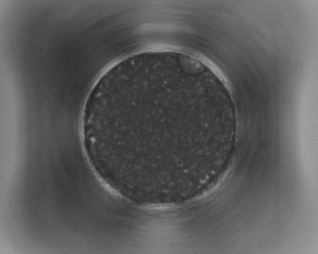 X0000111420853200908241130