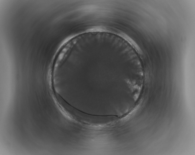 X0000111420854200908241130