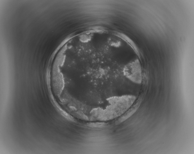 X0000111420859200908241130