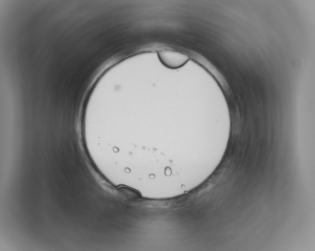 X0000111420861200908241130