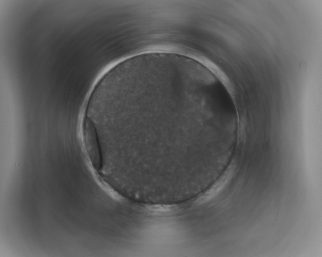 X0000111420862200908241131