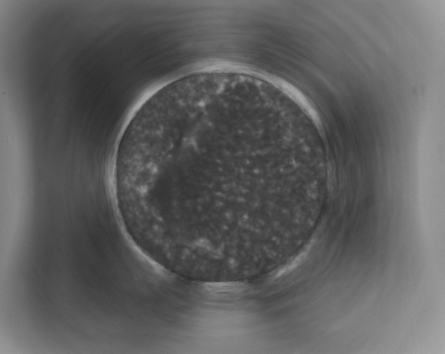 X0000111420863200908241131