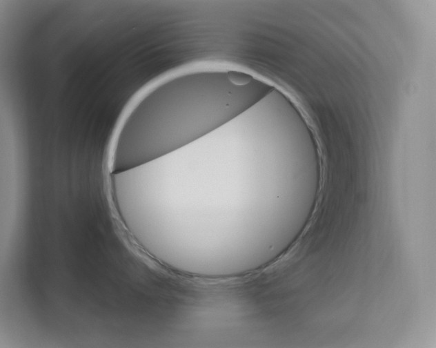 X0000111420864200908241131
