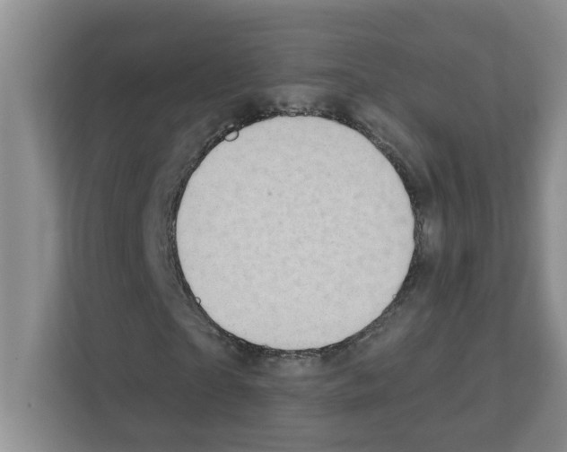 X0000111420865200908241130