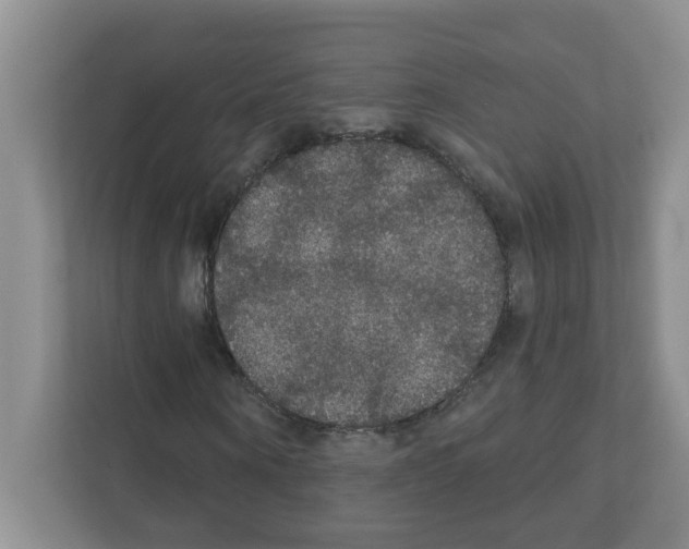 X0000111420866200908241130
