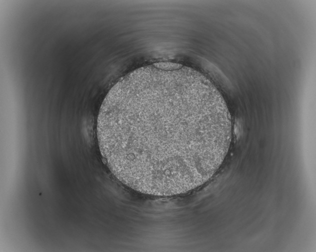 X0000111420867200908241130