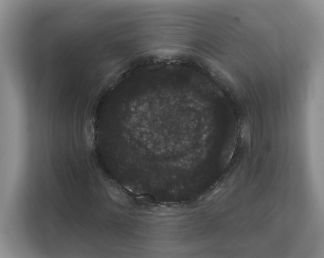 X0000111420868200908241130