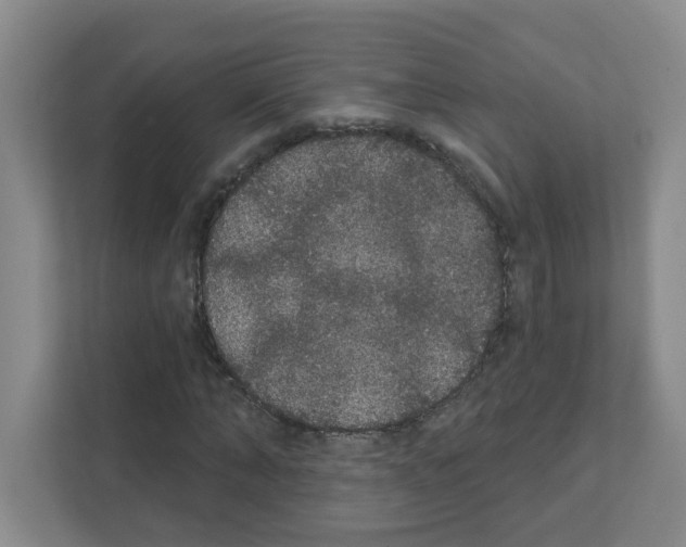 X0000111420870200908241130