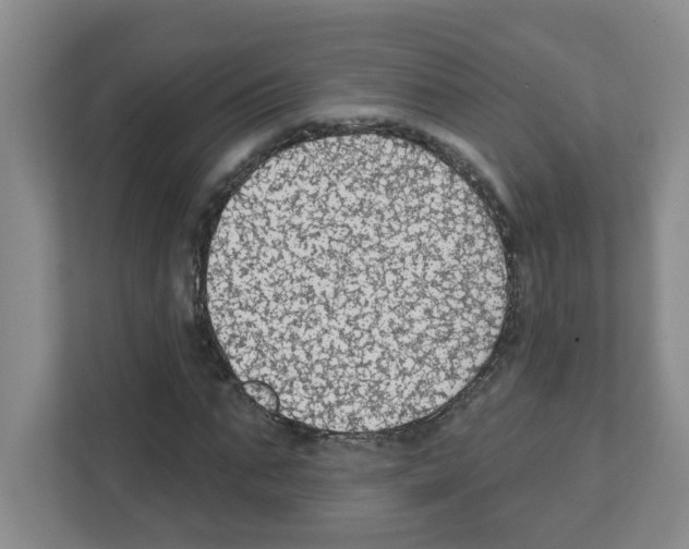 X0000111420871200908241130