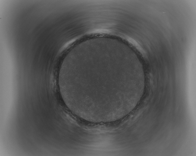 X0000111420872200908241130