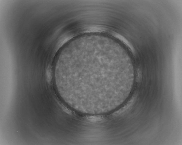 X0000111420874200908241130