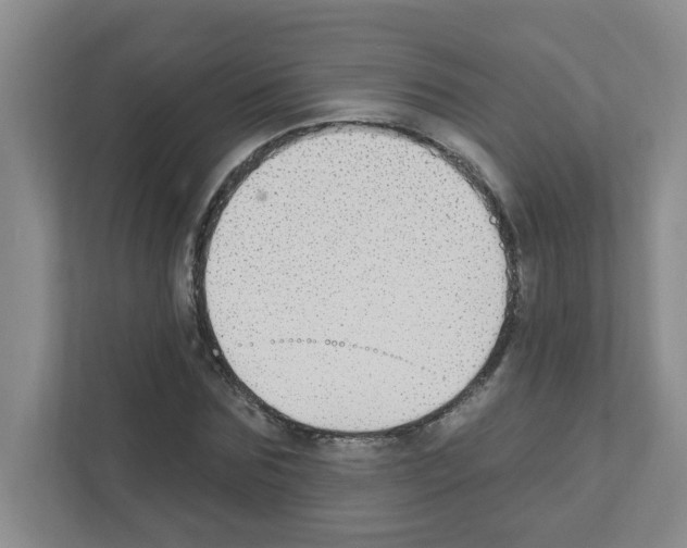 X0000111420875200908241130