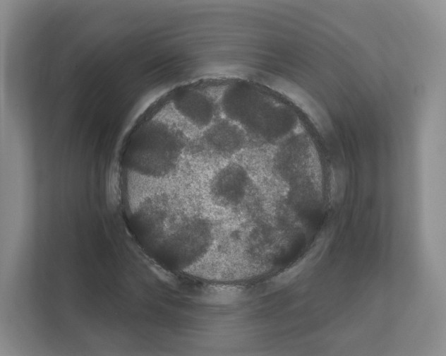 X0000111420878200908241130