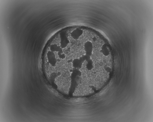 X0000111420879200908241130