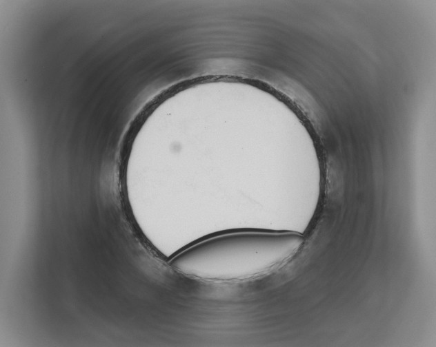 X0000111420880200908241130