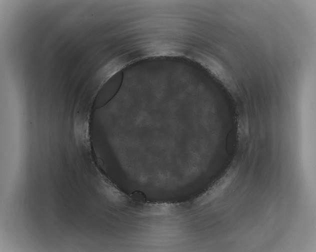 X0000111420881200908241130