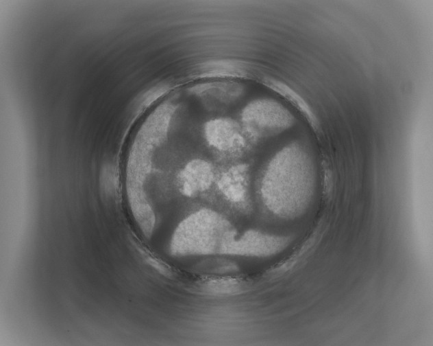 X0000111420882200908241130