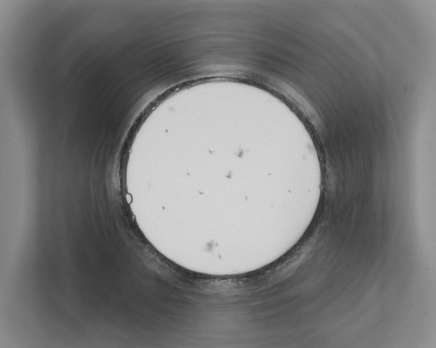 X0000111420883200908241130