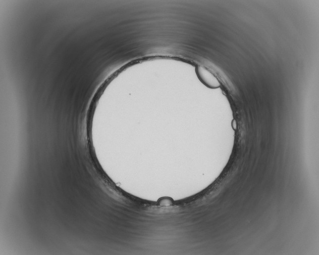 X0000111420884200908241130