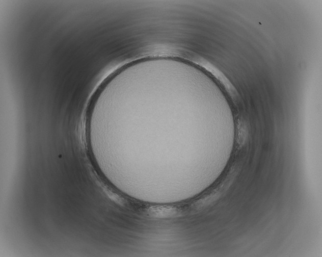 X0000111420886200908241130