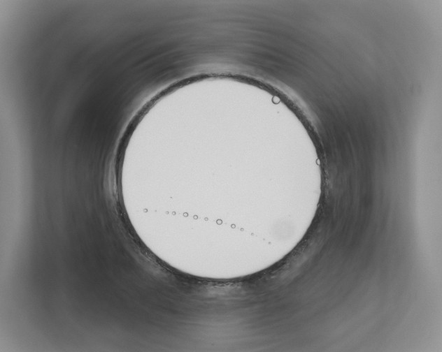 X0000111420887200908241130