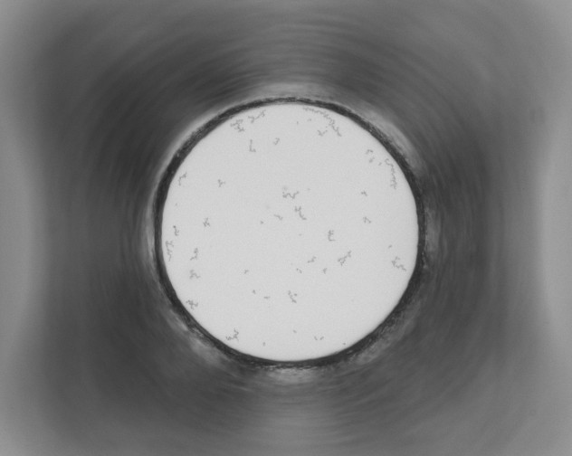 X0000111420888200908241130