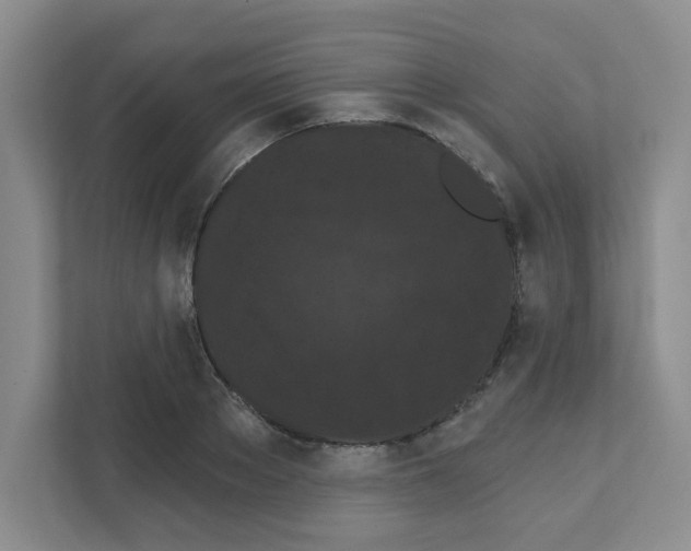 X0000111420889200908241130