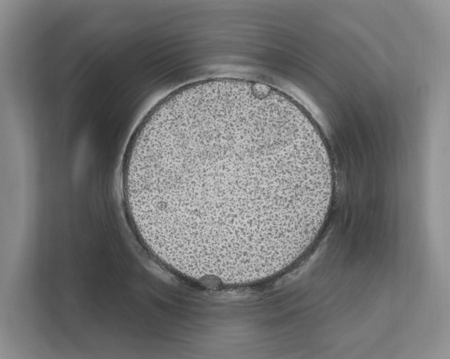 X0000111420891200908241130