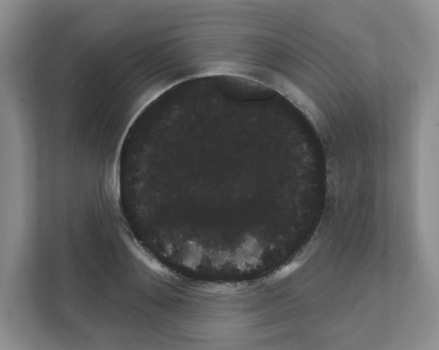 X0000111420892200908241130