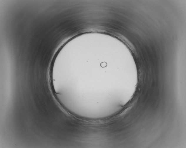 X0000111420893200908241130