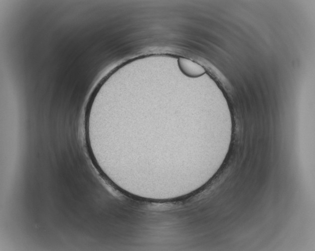 X0000111420894200908241130