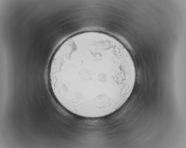 X0000111420895200908241130