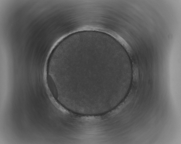 X0000111420896200908241130