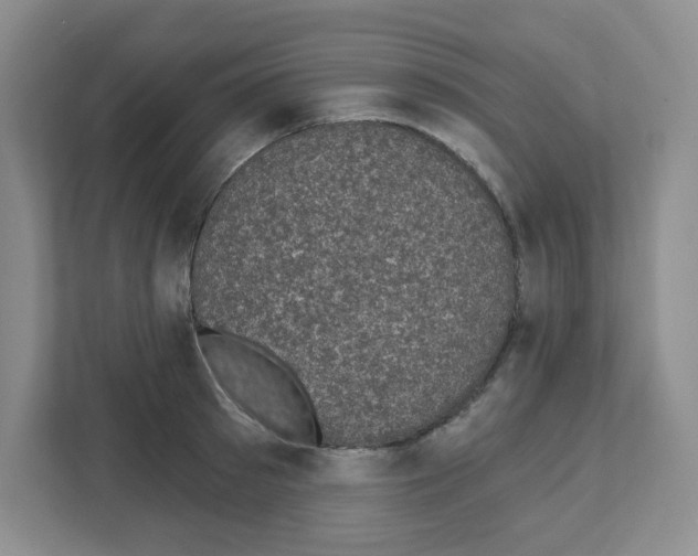 X0000111420897200908241129